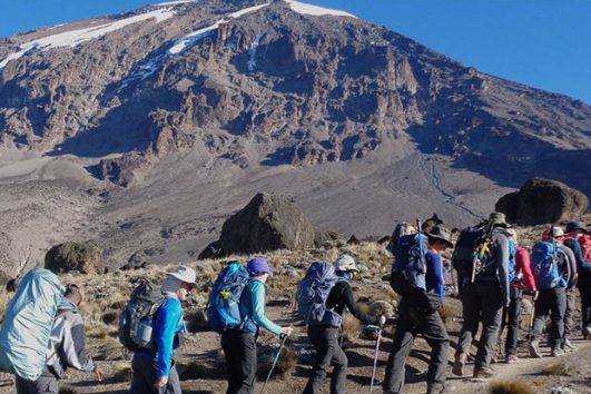 8-days Lemosho Route