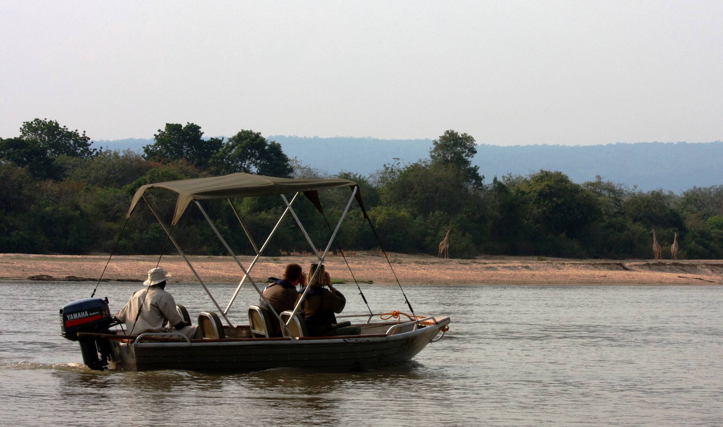 African wildlife safari landscape